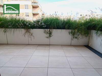 Terrassenwohnung mieten in 3100 St. Pölten (Bild 5)
