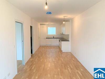 Terrassenwohnung mieten in 1220 Wien (Bild 2)