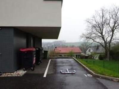 Immobilie kaufen in 4491 Niederneukirchen (Bild 2)