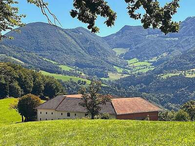 Haus kaufen in 4593 Grünburg