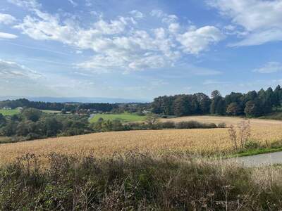 Grundstück kaufen in 8410 Allerheiligen (Bild 2)