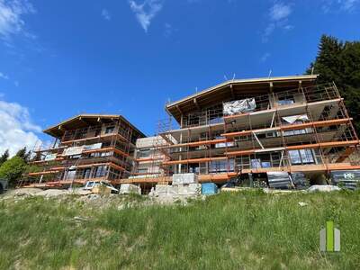 Terrassenwohnung kaufen in 8970 Schladming (Bild 4)