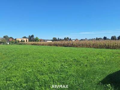 Anlageobjekt kaufen in 8472 Straß