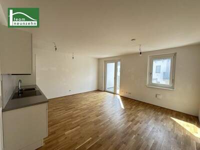 Terrassenwohnung mieten in 1160 Wien (Bild 1)