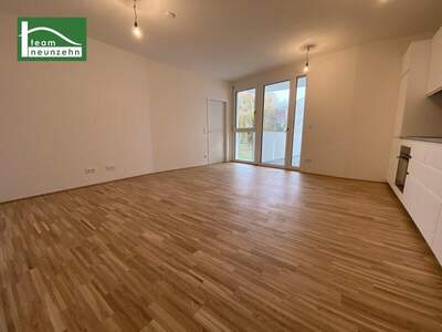 Terrassenwohnung mieten in 1230 Wien (Bild 1)