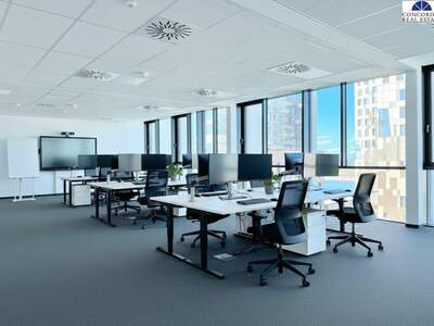 Gewerbeobjekt mieten in 1220 Wien (Bild 3)