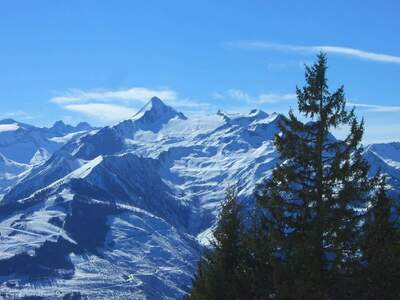 Gewerbeobjekt kaufen in 5710 Kaprun