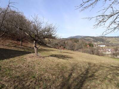 Grundstück kaufen in 8591 Maria Lankowitz (Bild 5)