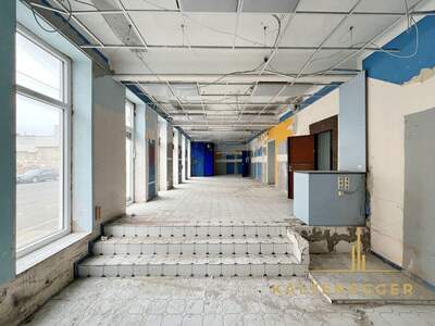 Gewerbeobjekt mieten in 1230 Wien (Bild 4)