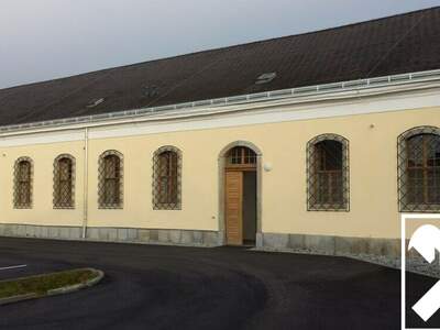 Gewerbeobjekt mieten in 4470 Enns (Bild 4)