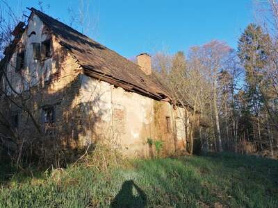 Haus kaufen in 8505 Sankt Nikolai (Bild 1)