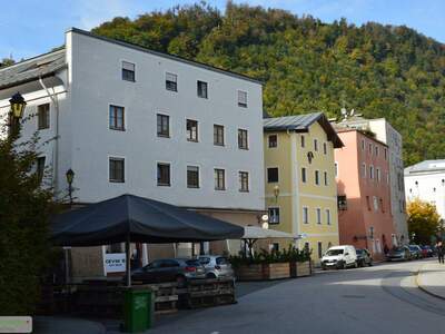 Wohnung kaufen in 5400 Hallein (Bild 1)