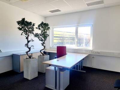 Gewerbeobjekt mieten in 5020 Salzburg (Bild 4)