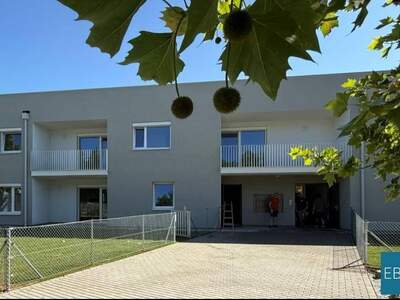 Mietwohnung in 7151 Wallern