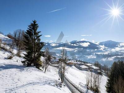 Grundstück kaufen in 6305 Itter