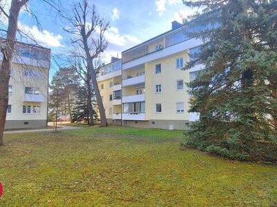 Terrassenwohnung kaufen in 2500 Baden (Bild 4)