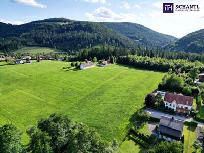 Grundstück kaufen in 8045 Weinitzen (Bild 5)