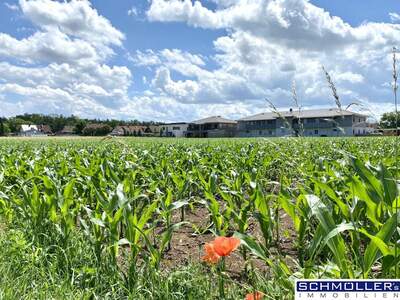 Gewerbeobjekt kaufen in 4623 Gunskirchen (Bild 4)