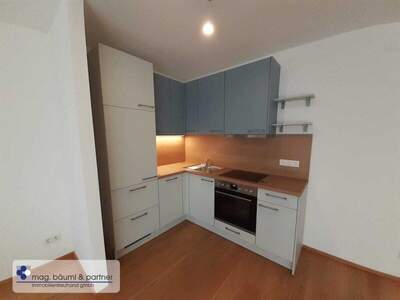 Terrassenwohnung mieten in 1230 Wien (Bild 4)