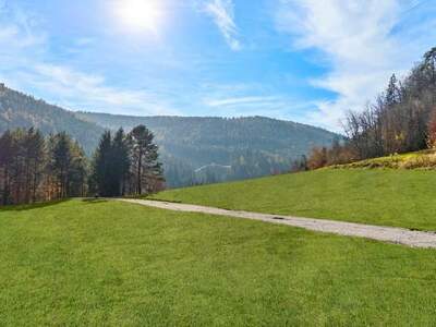 Grundstück kaufen in 8044 Weinitzen
