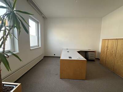 Gewerbeobjekt mieten in 2191 Gaweinstal (Bild 4)