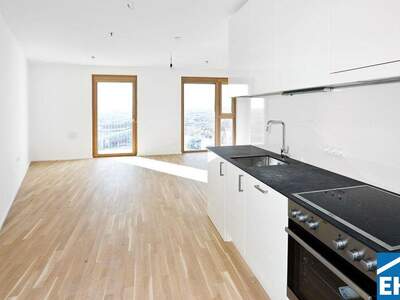 Terrassenwohnung mieten in 1100 Wien (Bild 2)