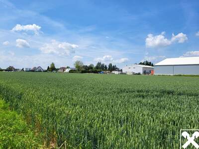 Gewerbeobjekt mieten in 4063 Hörsching (Bild 3)