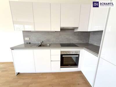 Terrassenwohnung kaufen in 1220 Wien (Bild 5)