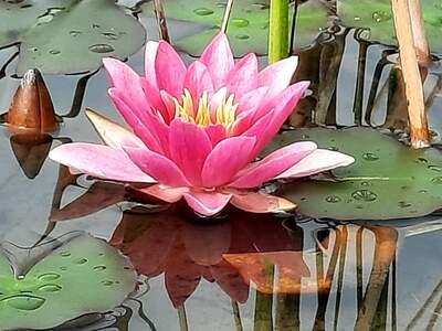 Gewerbeobjekt kaufen in 9620 Hermagor