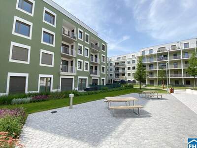 Wohnung mit Balkon mieten in 3451 Pixendorf