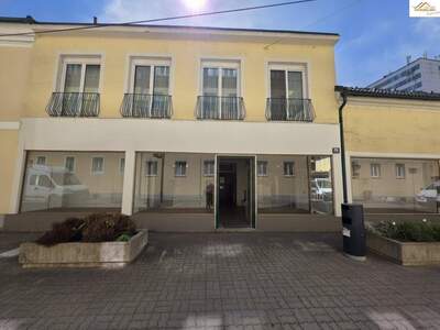 Haus kaufen in 2700 Wiener Neustadt