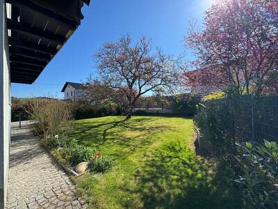Haus kaufen in 4230 Pregarten (Bild 5)
