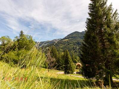 Grundstück kaufen in 6850 Dornbirn (Bild 3)