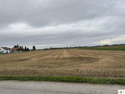 Anlageobjekt kaufen in 2453 Sommerein