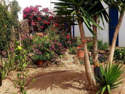 Anlageobjekt kaufen in 38627 Las Rosas del Guanche (Bild 3)