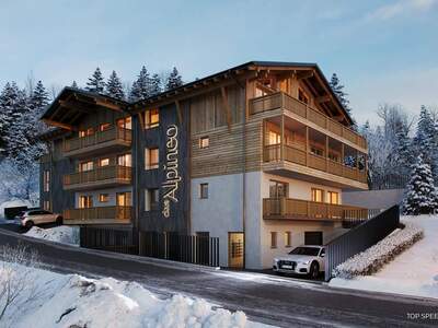 Wohnung kaufen in 5541 Altenmarkt