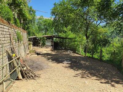 Haus kaufen in 54016 Ripola (Bild 4)