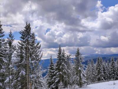 Haus mit Garten kaufen in 8742 Lavantegg (Bild 3)