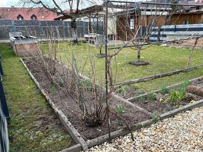 Altbauwohnung kaufen in 8661 Sankt Barbara (Bild 3)