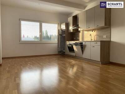 Wohnung mieten in 8041 Graz