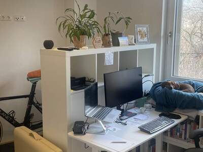 Public Housing provisionsfrei mieten in 6020 Innsbruck