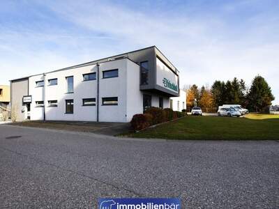 Gewerbeobjekt kaufen in 4614 Marchtrenk (Bild 2)