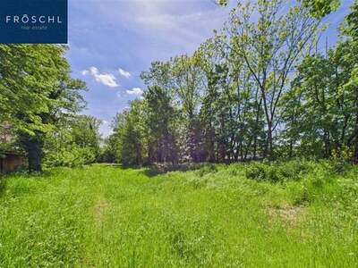 Grundstück kaufen in 2620 Neunkirchen