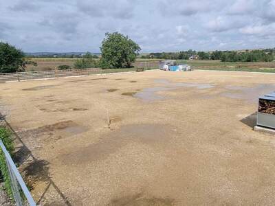 Gewerbeobjekt kaufen in 2011 Höbersdorf (Bild 2)