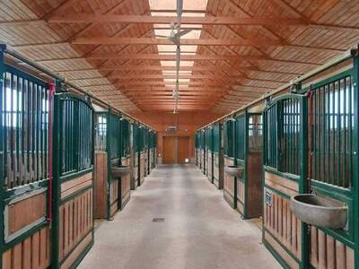 Haus kaufen in 4971 Aurolzmünster