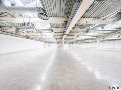 Gewerbeobjekt mieten in 2100 Korneuburg