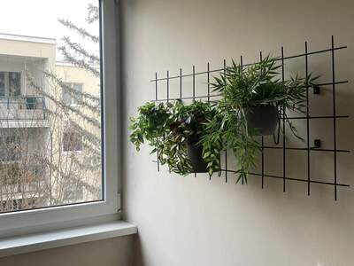 Wohnung mieten in 1100 Wien (Bild 4)