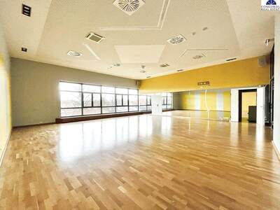 Gewerbeobjekt mieten in 2320 Schwechat (Bild 2)