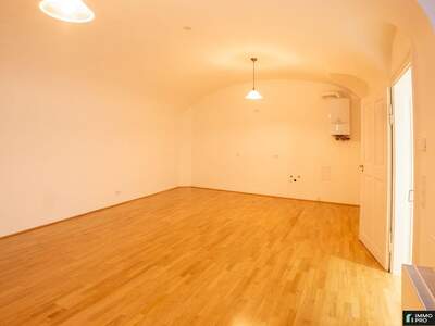 Gewerbeobjekt mieten in 1010 Wien (Bild 4)