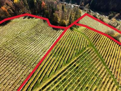 Gewerbeobjekt kaufen in 8462 Gamlitz